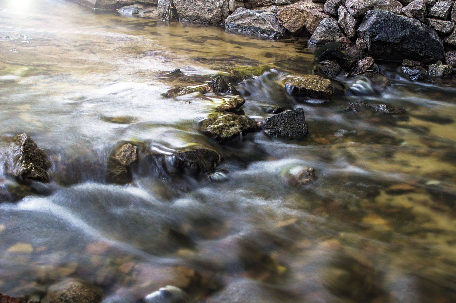 ,  Александр