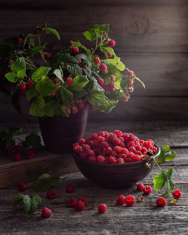 натюрморт малина ягоды фотонатюрморт Ягода малина фото превью