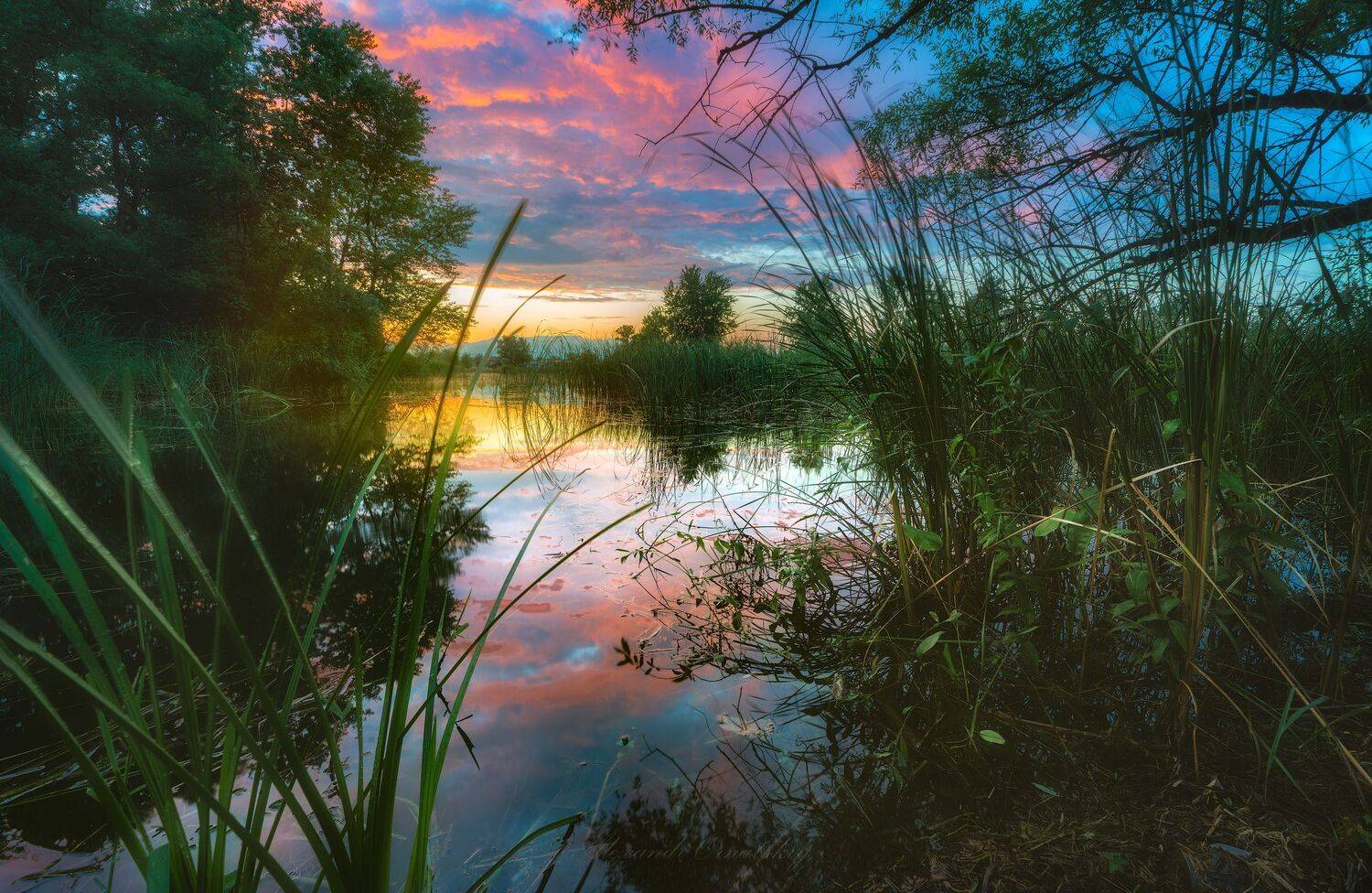 , Александр Орнатский