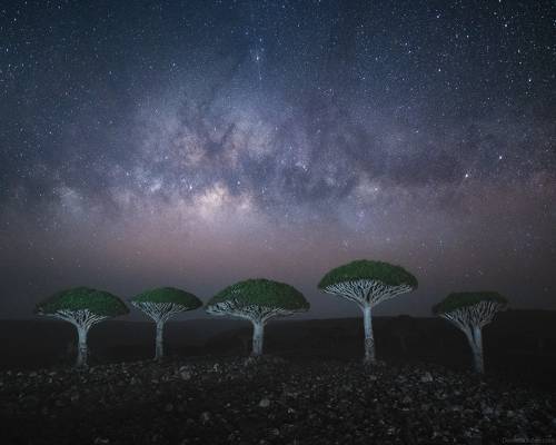 Socotra