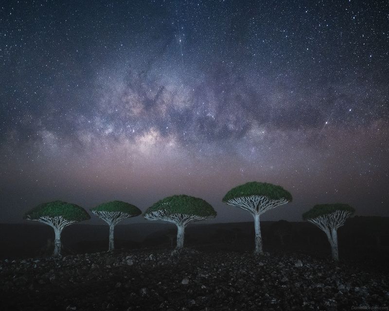 Socotra фото превью