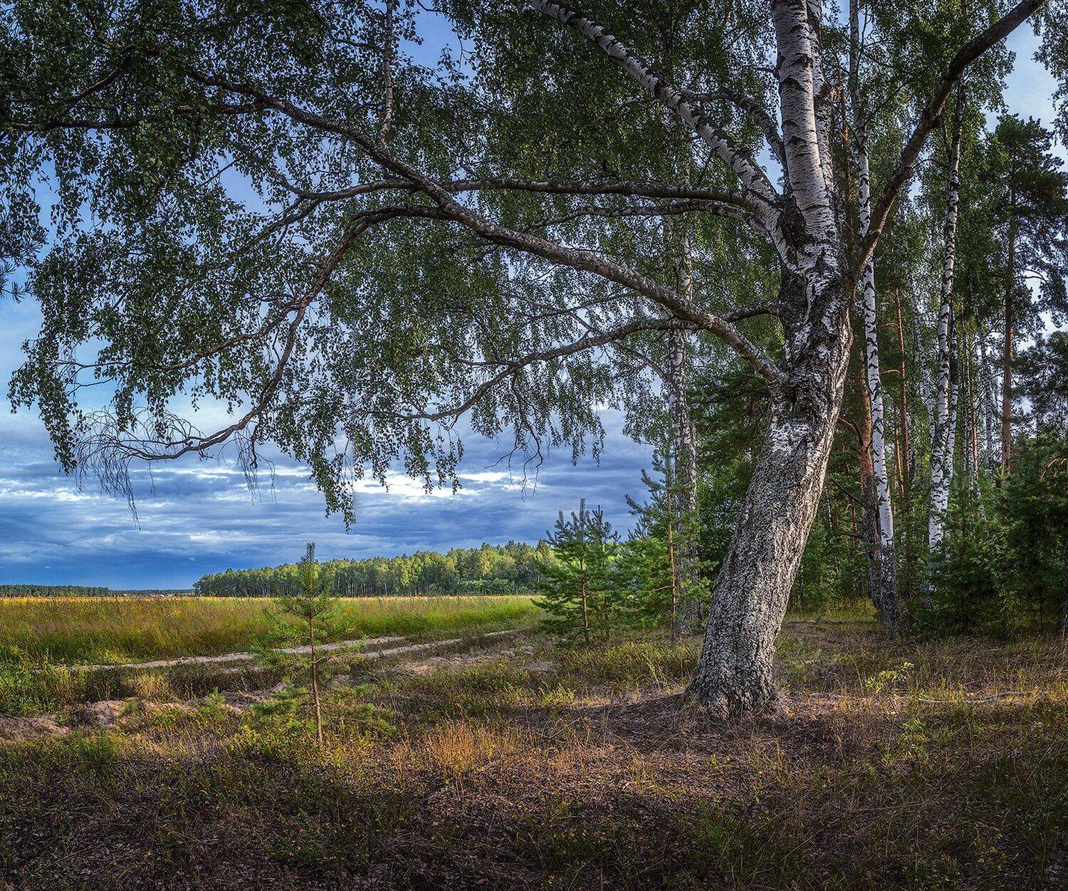 , Николай Андреев