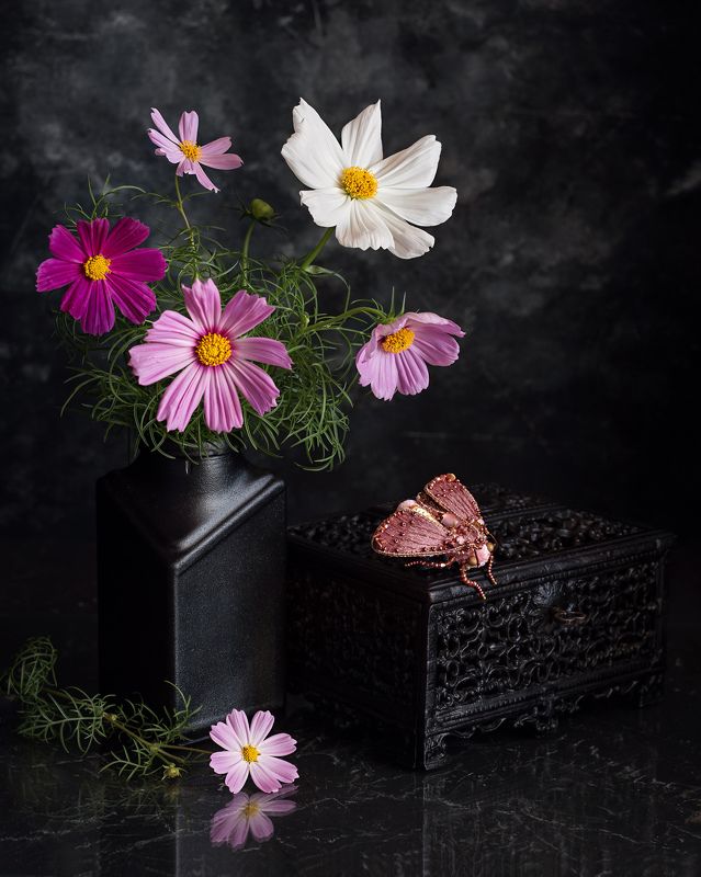 натюрморт букет космея фотонатюрморт цветы мотылёк брошь Мотылёк фото превью