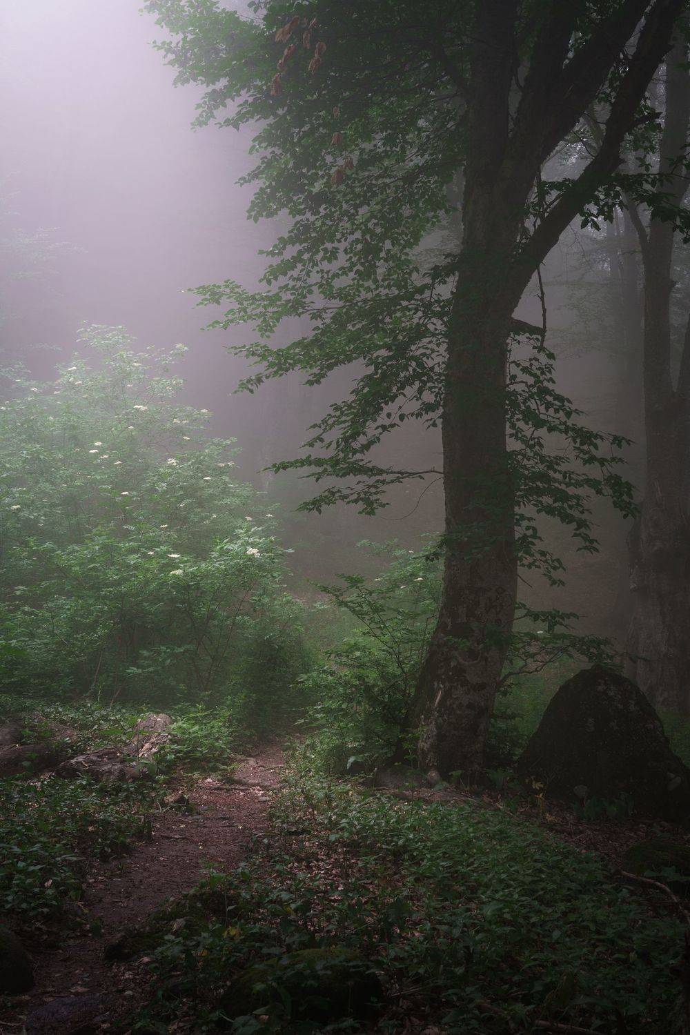 , Григорий Бельцев