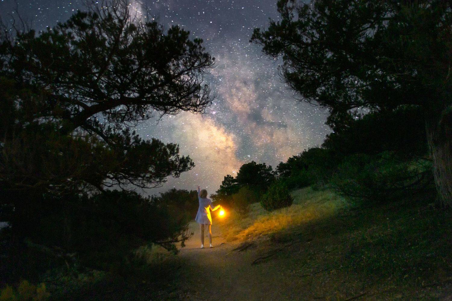 , Юрий Столыпин