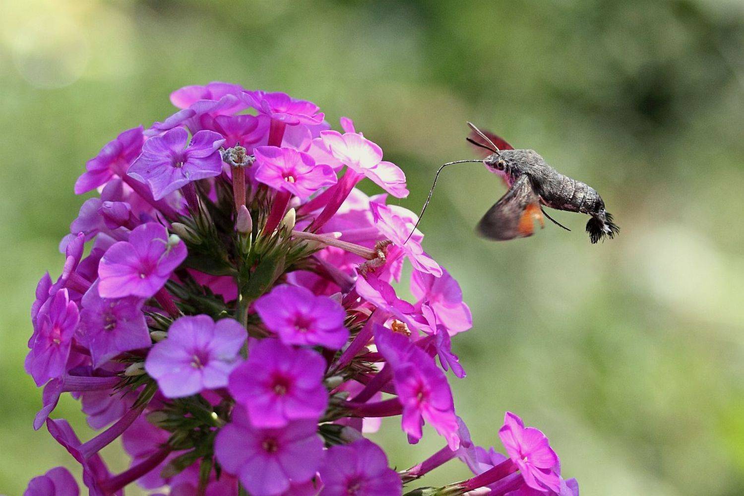 , Сергей Фудиненко
