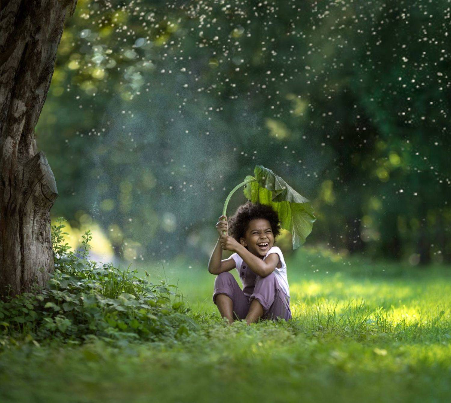 мальчик, мулат, дождь, лопух, Алёна Алексеева