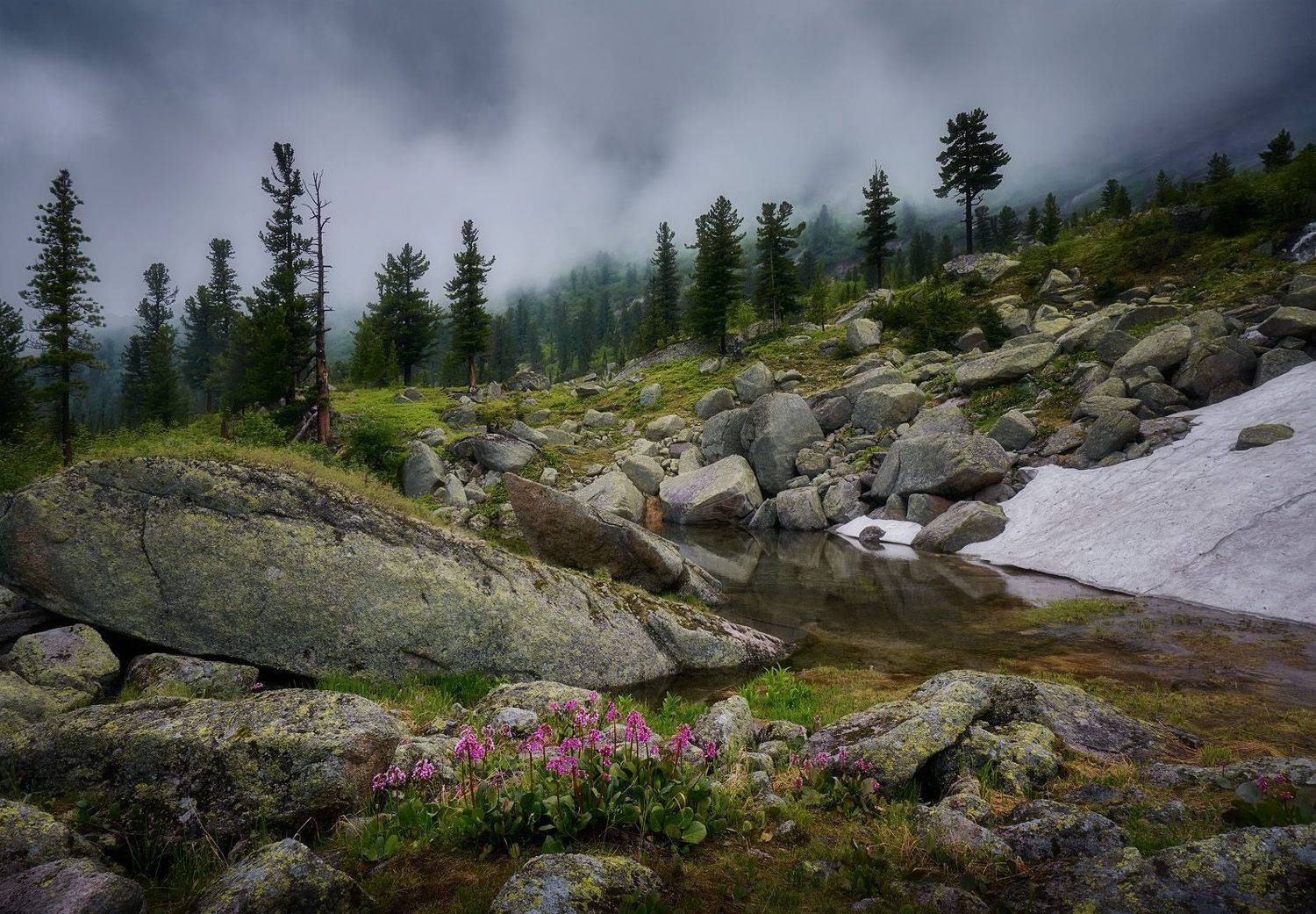 , Сергей Межин