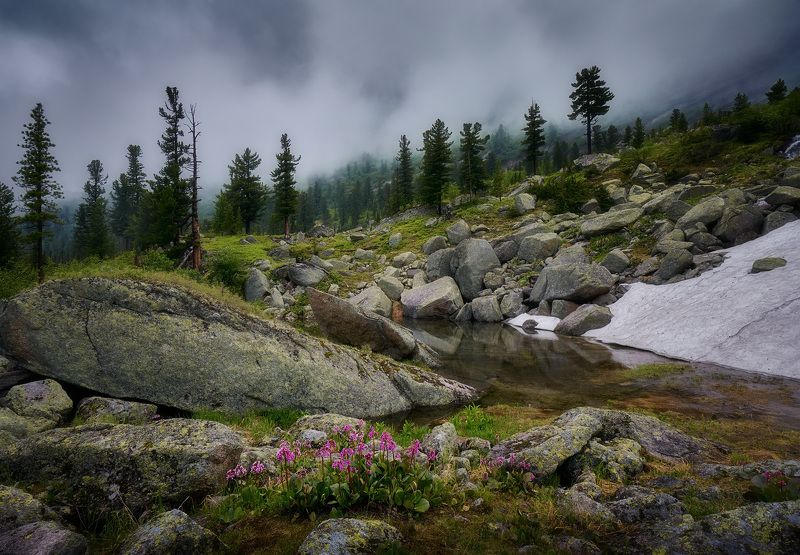 Пасмурные Ергаки фото превью