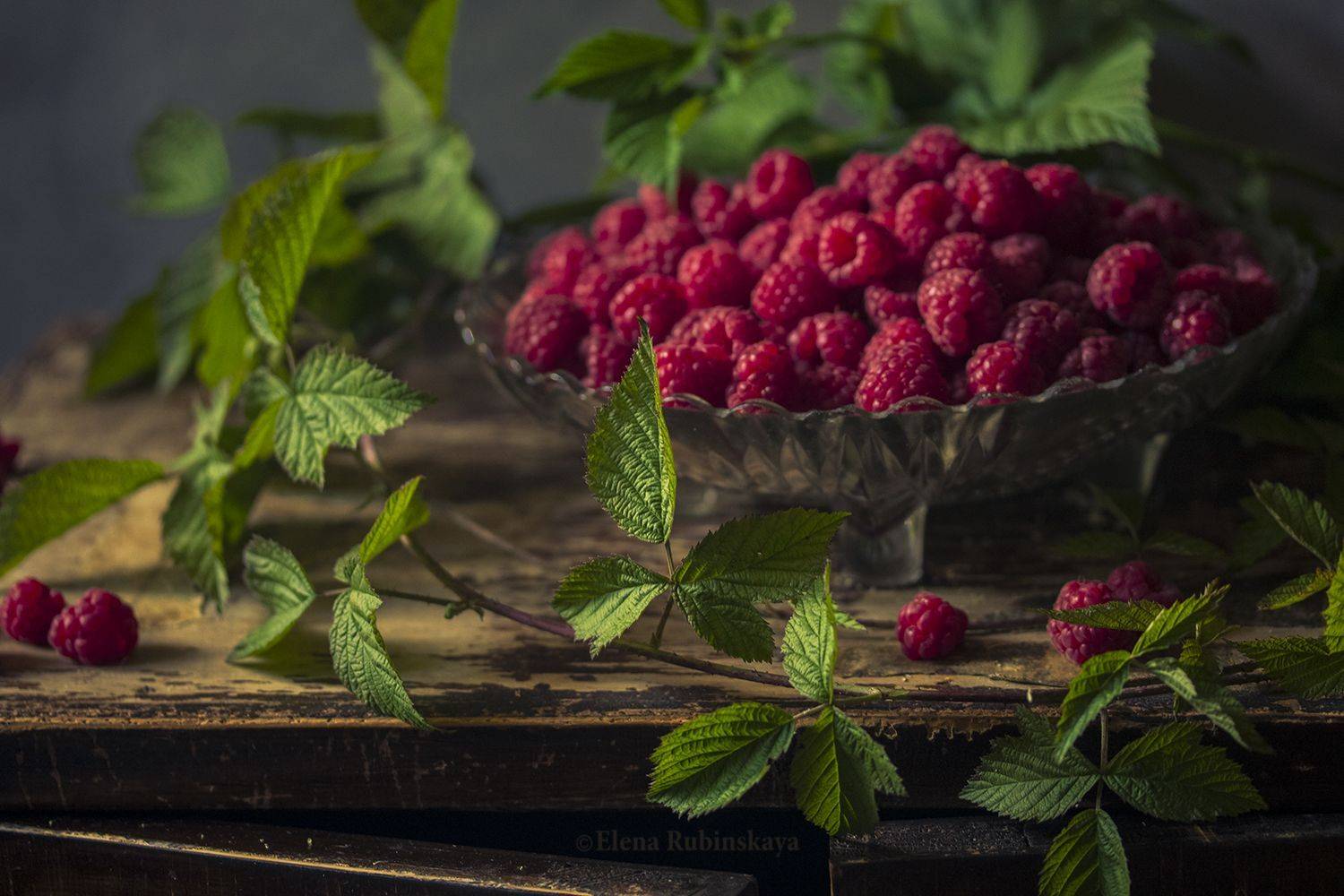 , Елена Рубинская