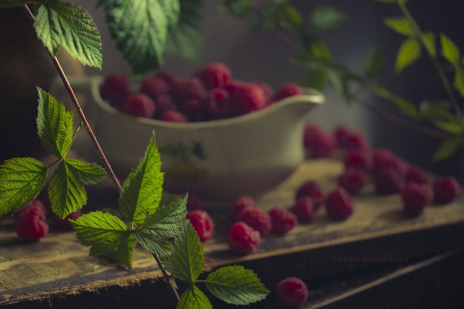 , Елена Рубинская