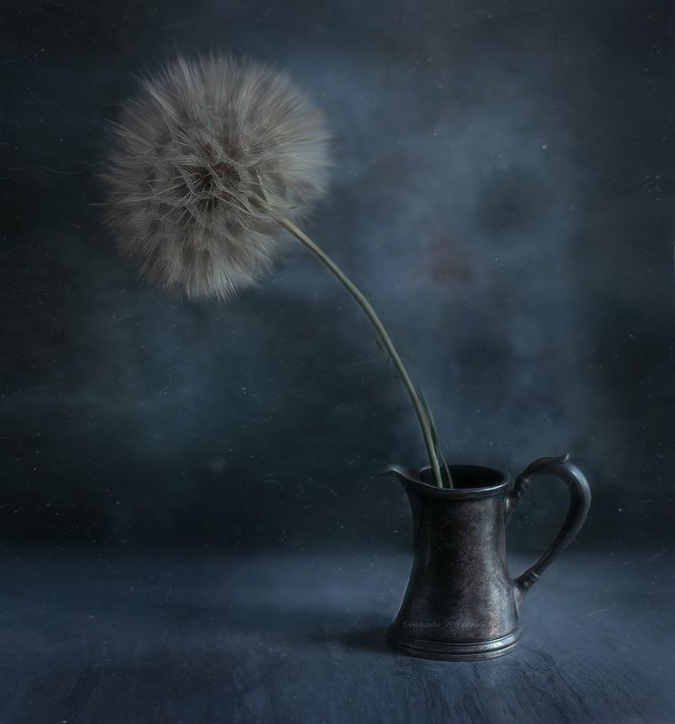 повышенная пухнастость* фото превью