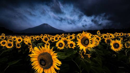 Before a storm