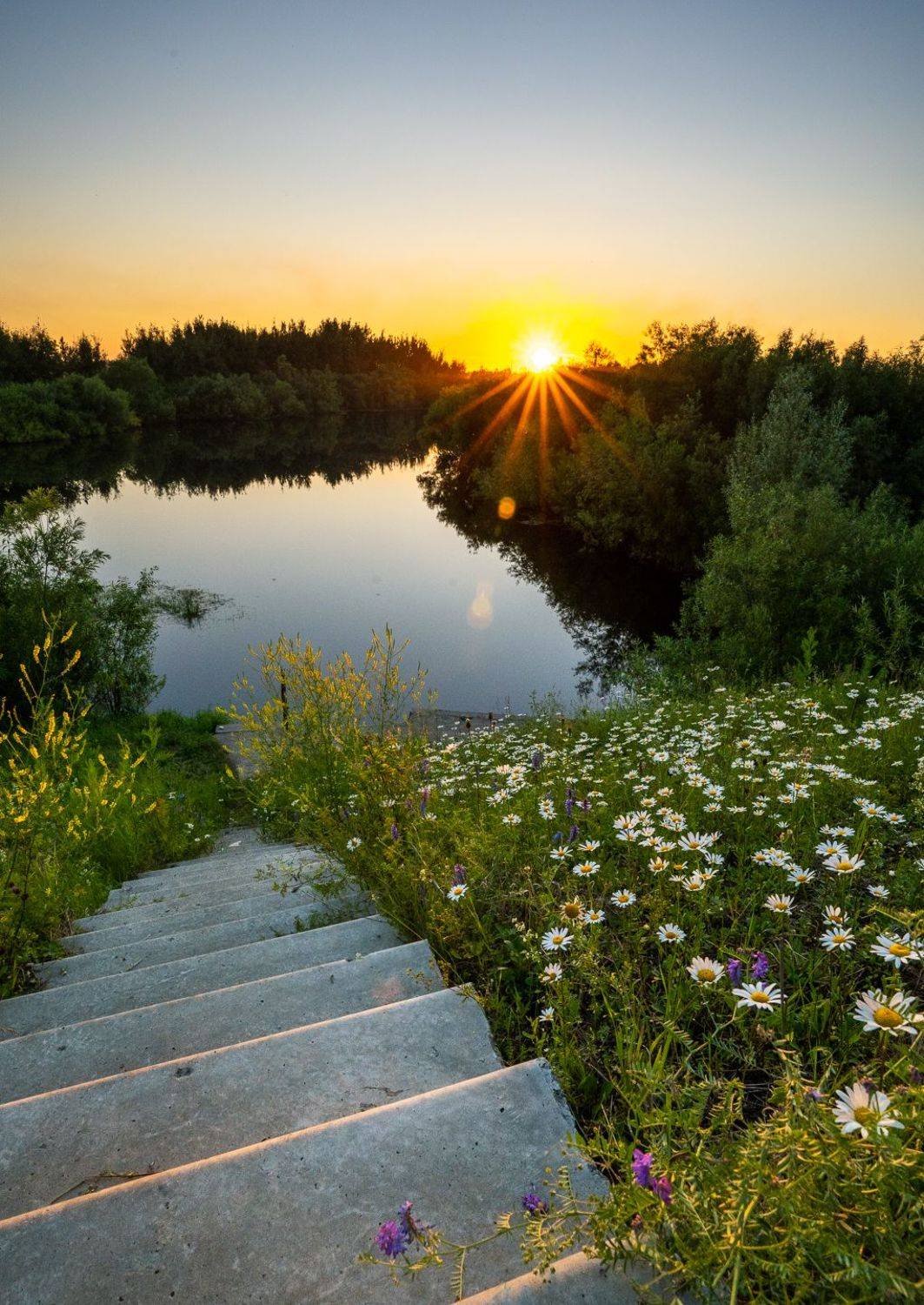 landscape, sunset, nature, Maria Pochikaeva