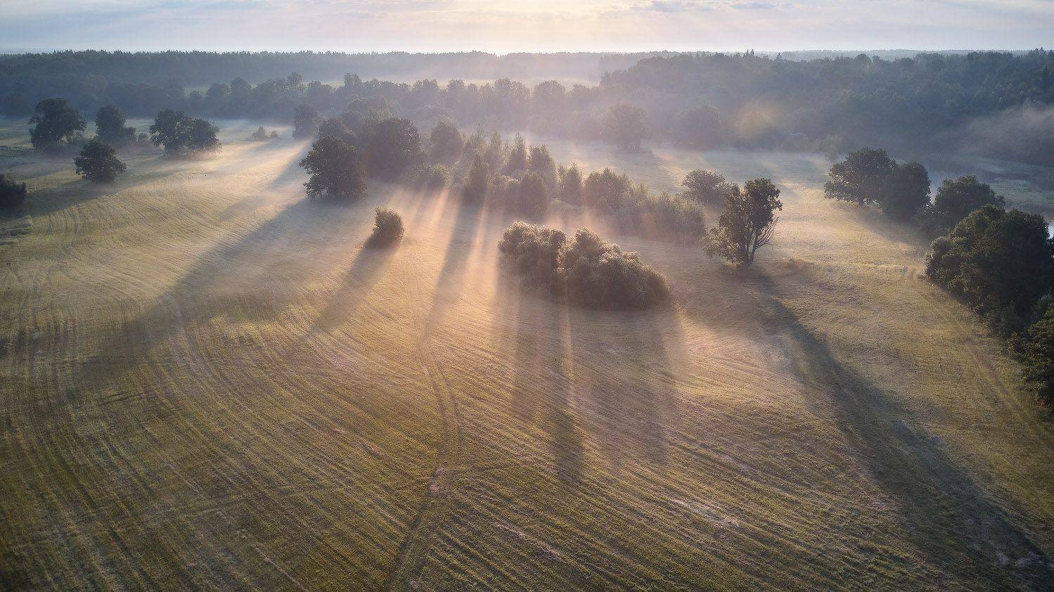 беларусь, дорога, дронофото, дубрава, июль, лето, луга, рассвет, река, свислочь, туман, утро, Вейзе Максим