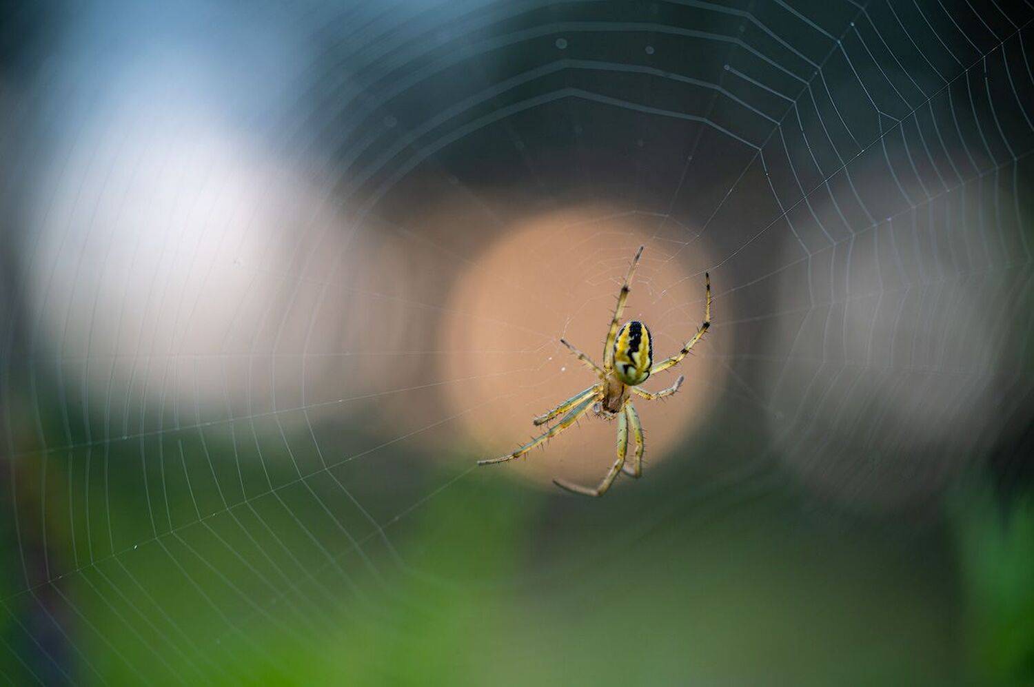 , Сергей Брагин