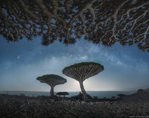 Socotra