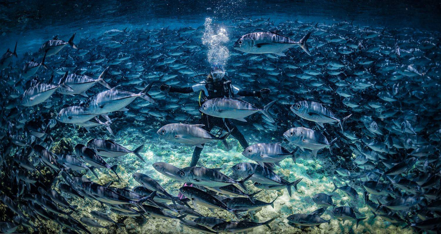 , Юрий Журавлев