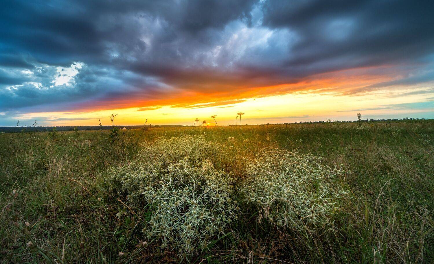 , Александр Орнатский