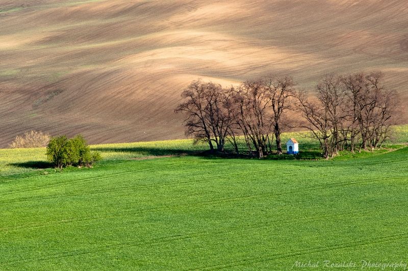 moravia, ,hills, ,spring, ,season, ,colors, ,tree, ,light, ,sunrise, ,fields, ,landscape, ,photography, ,chapel, , St.Barbara chapel фото превью