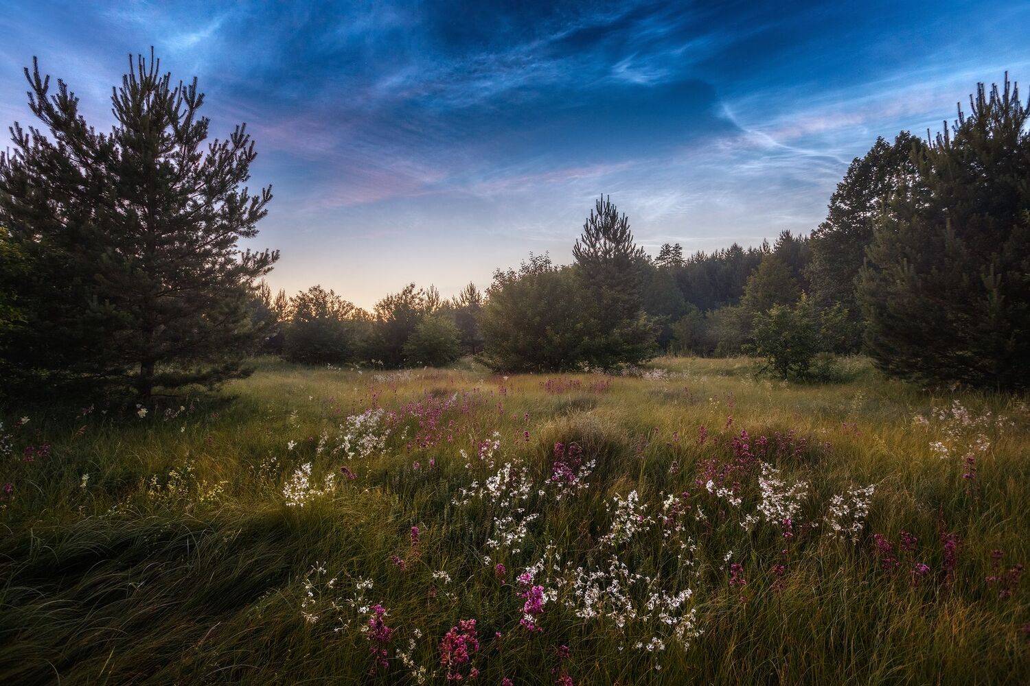 пейзаж, ночь, Сергей Сергеев