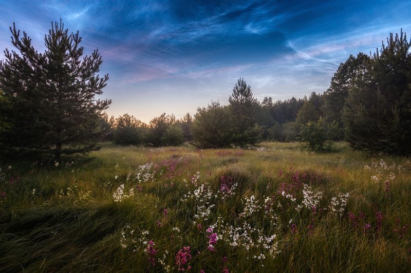 пейзаж, ночь Июньское серебро фото превью