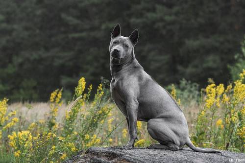 Статная Юна