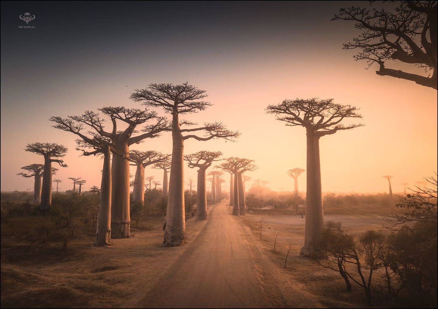 Мадагаскар, фототур, Mikhail Vorobyev