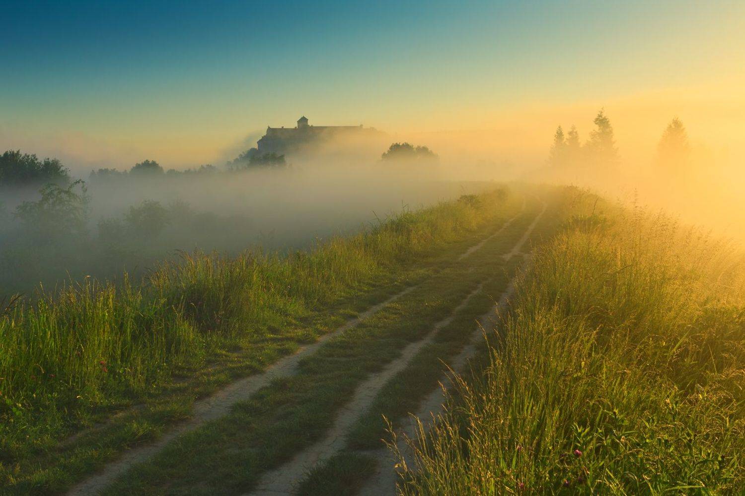 тынец, краков, монастырь, польша, туман, утро, лето, poland, tyniec, golden hour, summer, meadow, abby, sunrise, tranquility, solitary, outdoor, lesser poland, monastery, heritage, europe, mist, fog, quiet, calm, natural light, krakow,, Sebastian Płonka