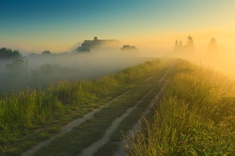 тынец, краков, монастырь, польша, туман, утро, лето, poland, tyniec, golden hour, summer, meadow, abby, sunrise, tranquility, solitary, outdoor, lesser poland, monastery, heritage, europe, mist, fog, quiet, calm, natural light, krakow, Дорога на Тынец фото превью