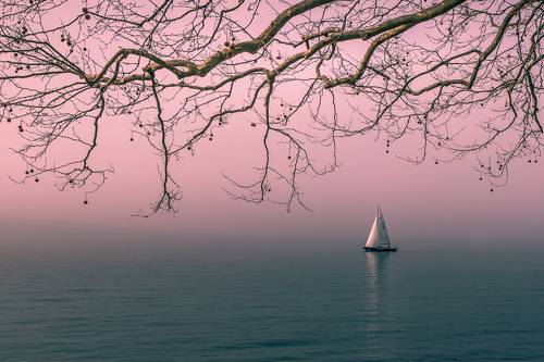 Лодки и корабли