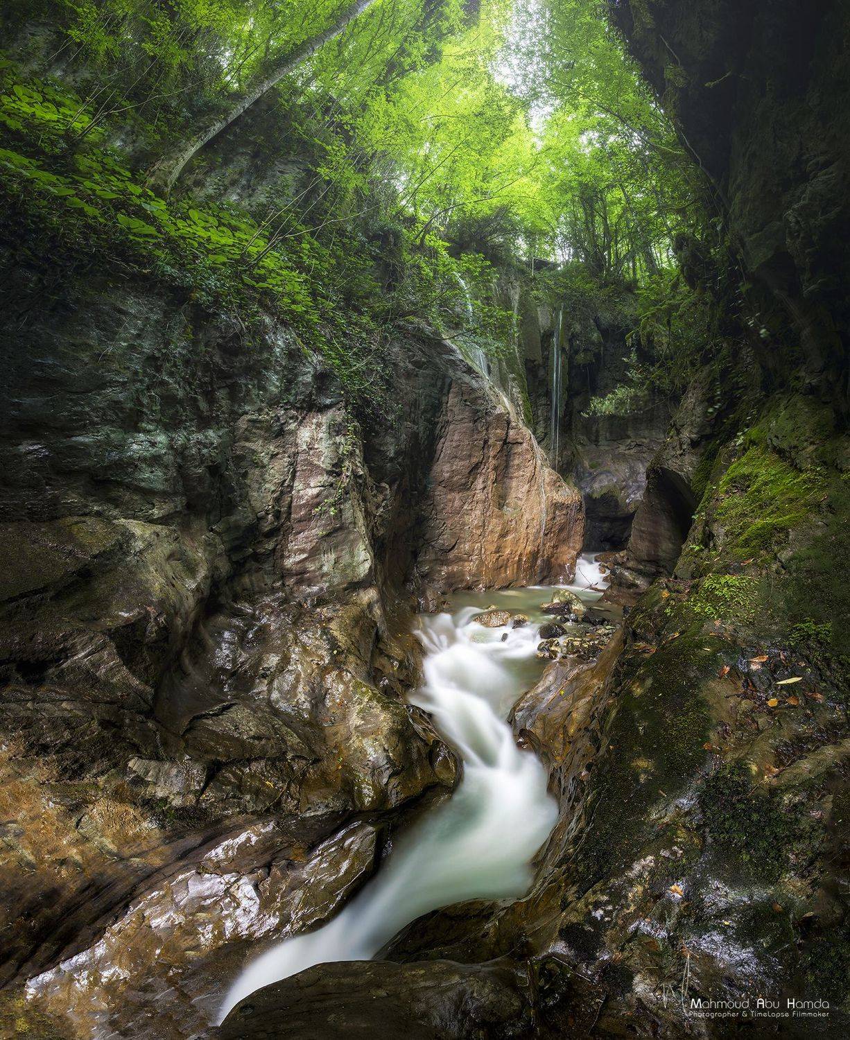 , Махмуд Хамда