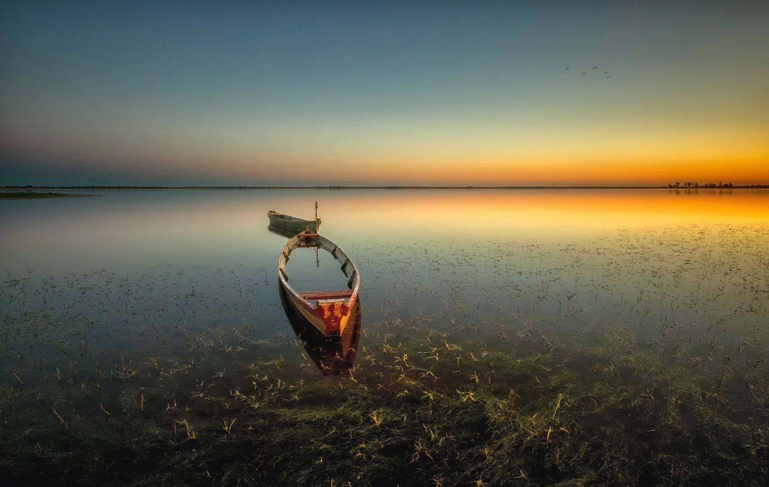 Беларусь, Серж Домбровский