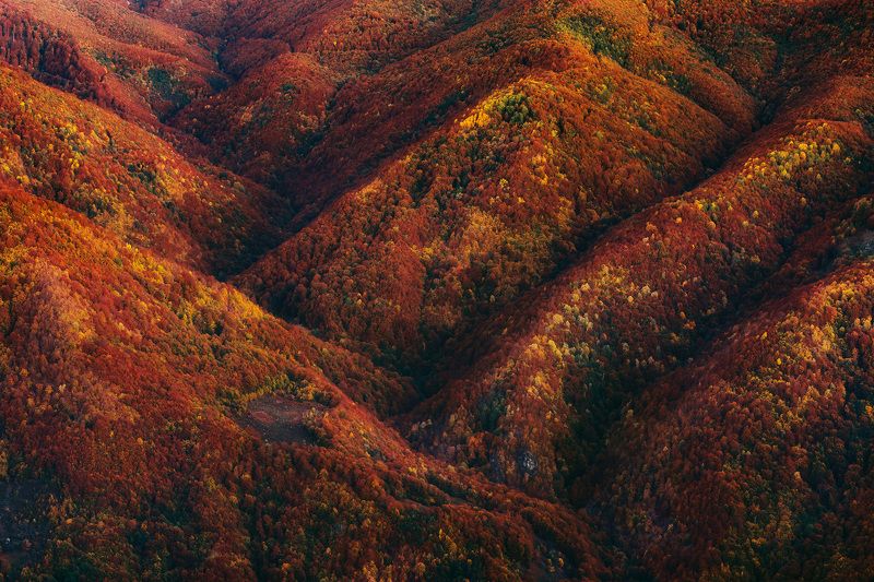 The valley below фото превью