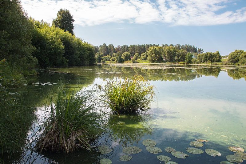 Сельская безмятежность фото превью