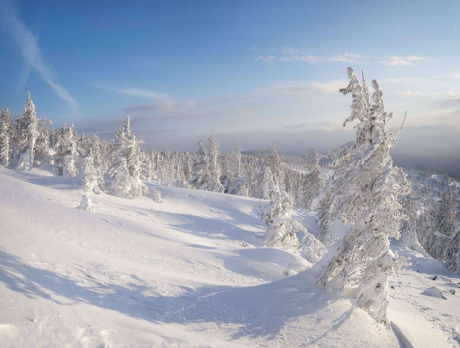 , Лещёнок Александр