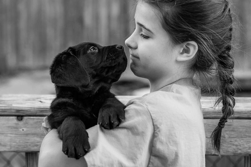 Друзья... фото превью