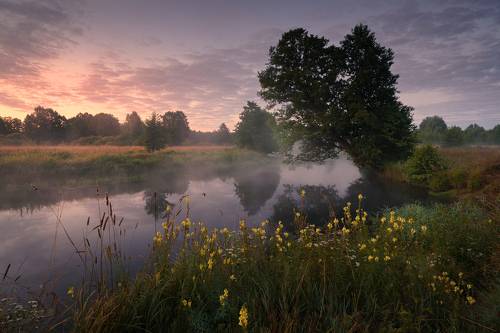 Теплое июльское утро
