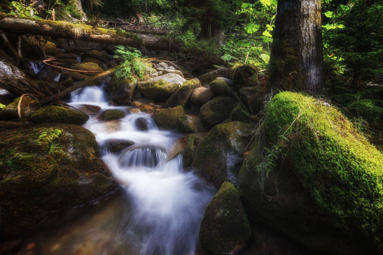 пейзаж, горы, кавказские горы, архыз, природа россии, ОЛЬГА КОВАЛЁВА