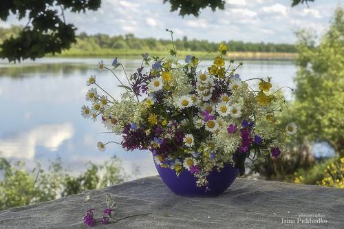 Летний пленэр