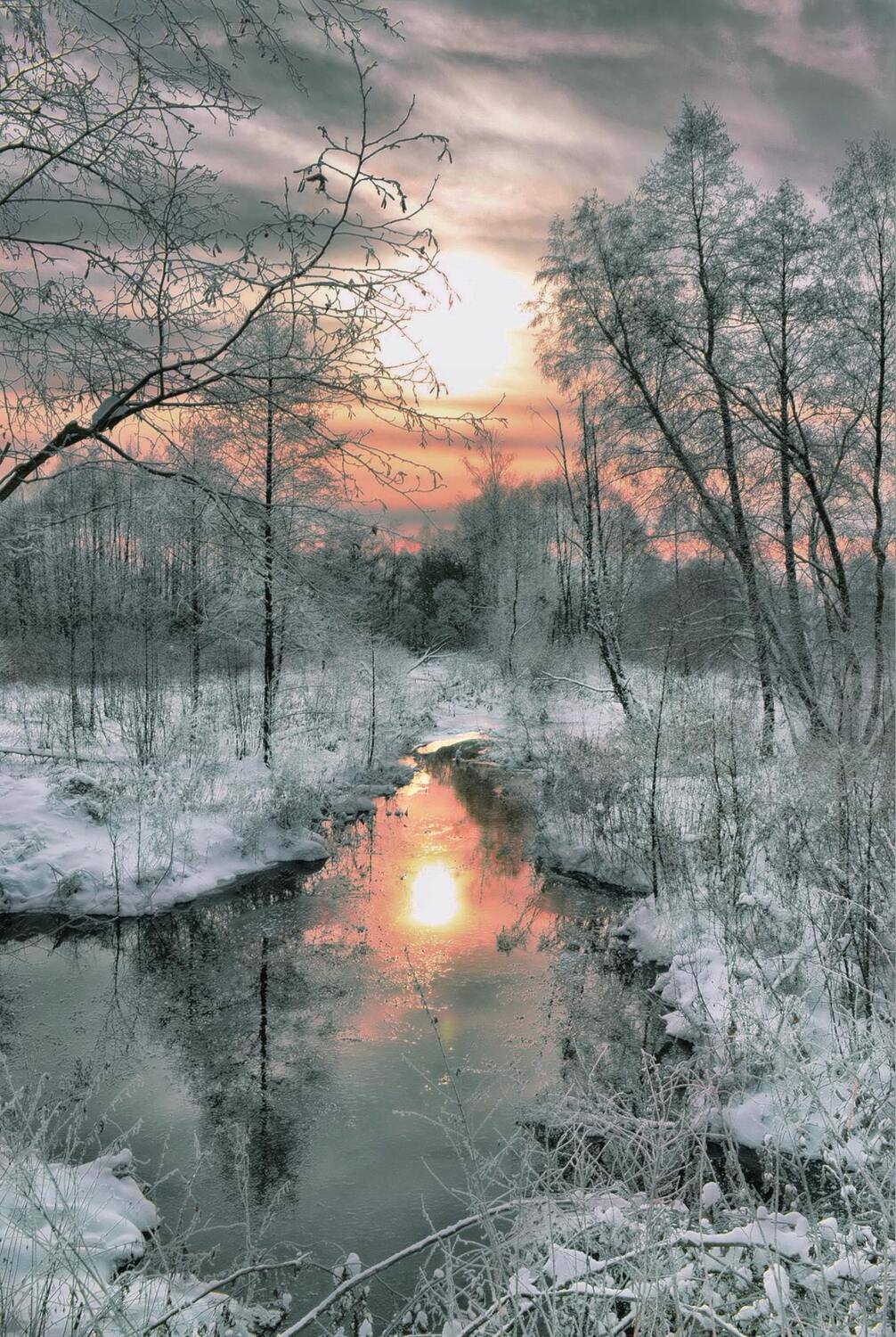 , Михаил Новиков