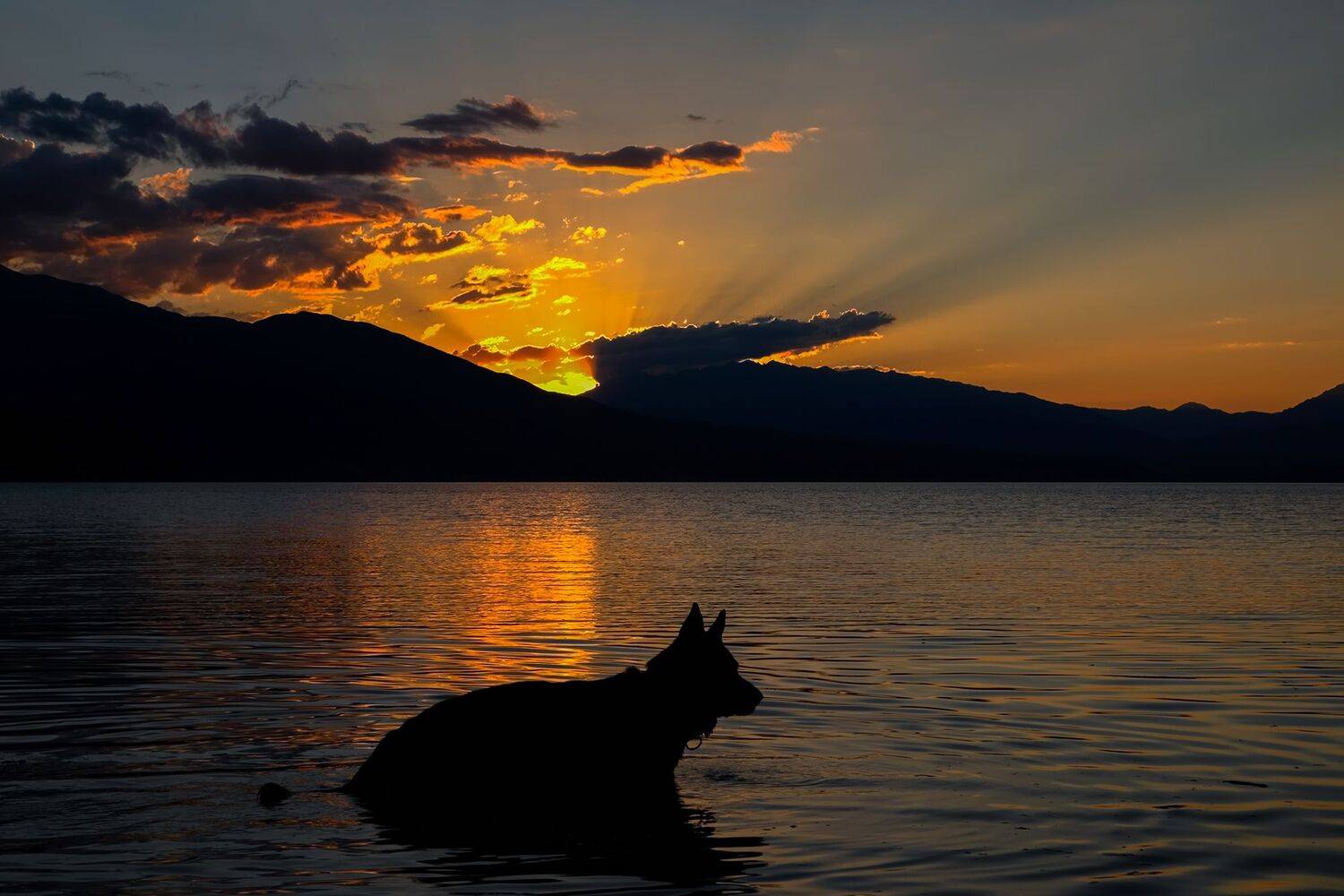 кыргызстан, горы, токтогульское водохранилище, Элина Магалимова