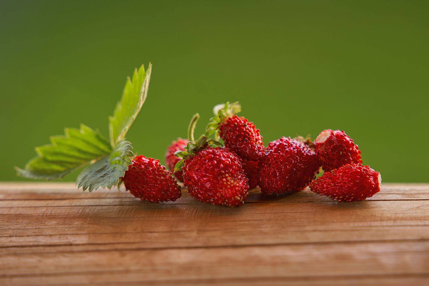 , Оксана Сироштан