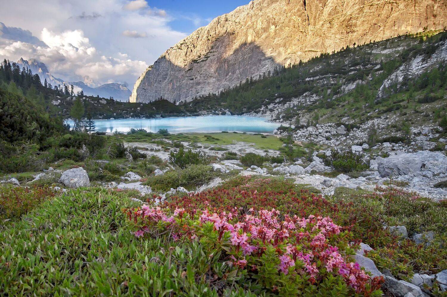 , Иван Георгиев