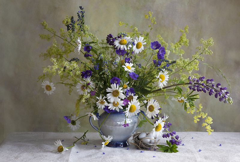 Цветы полевые фото превью