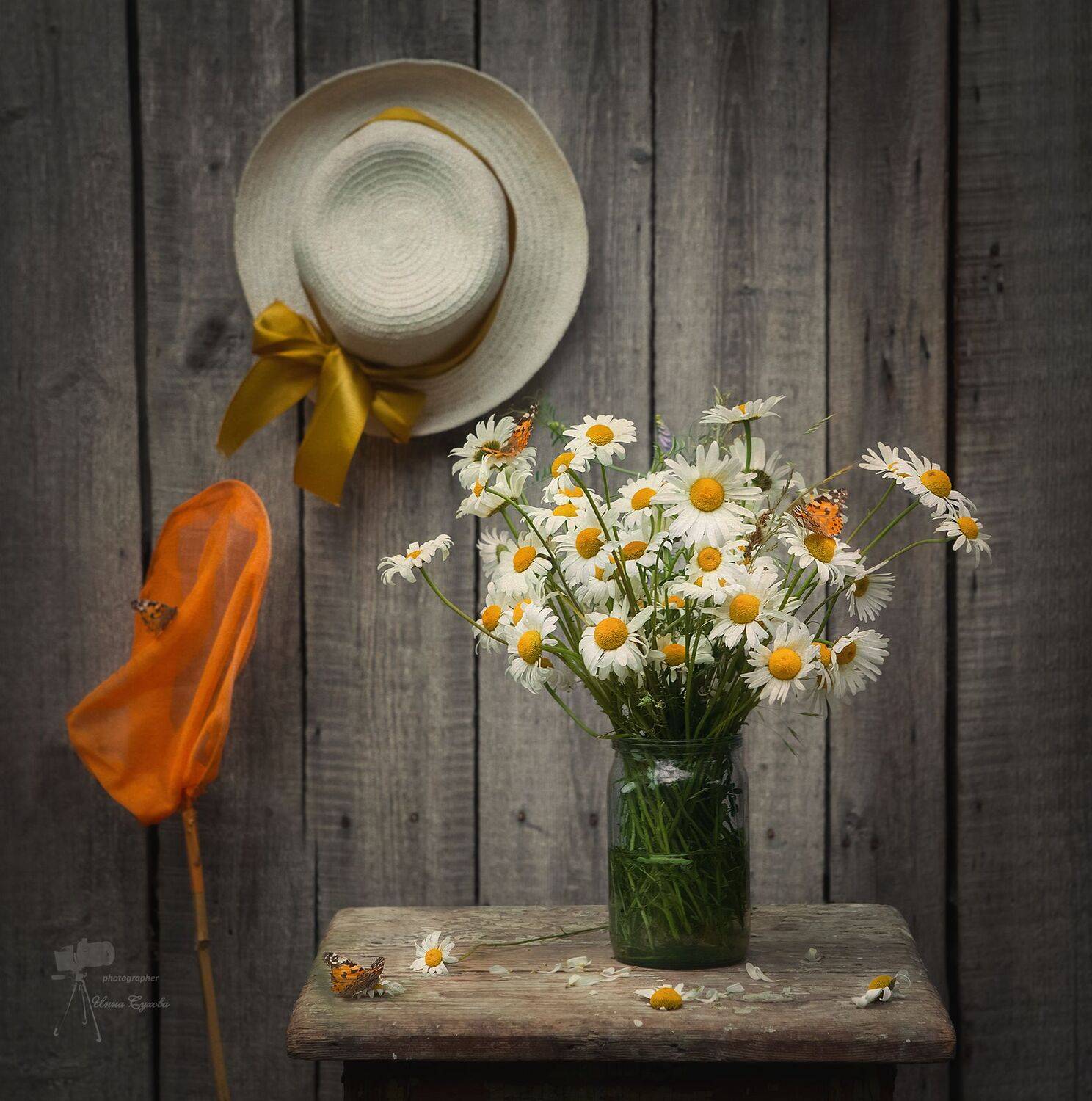 , Инна Сухова