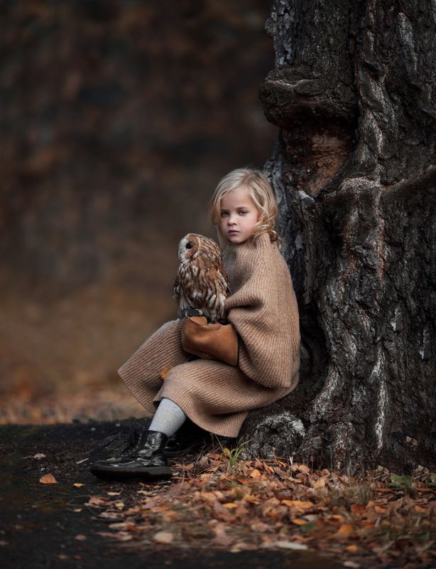 сова, девочка, дерево *** фото превью