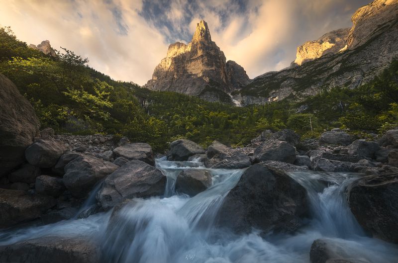 Touch of gold фото превью