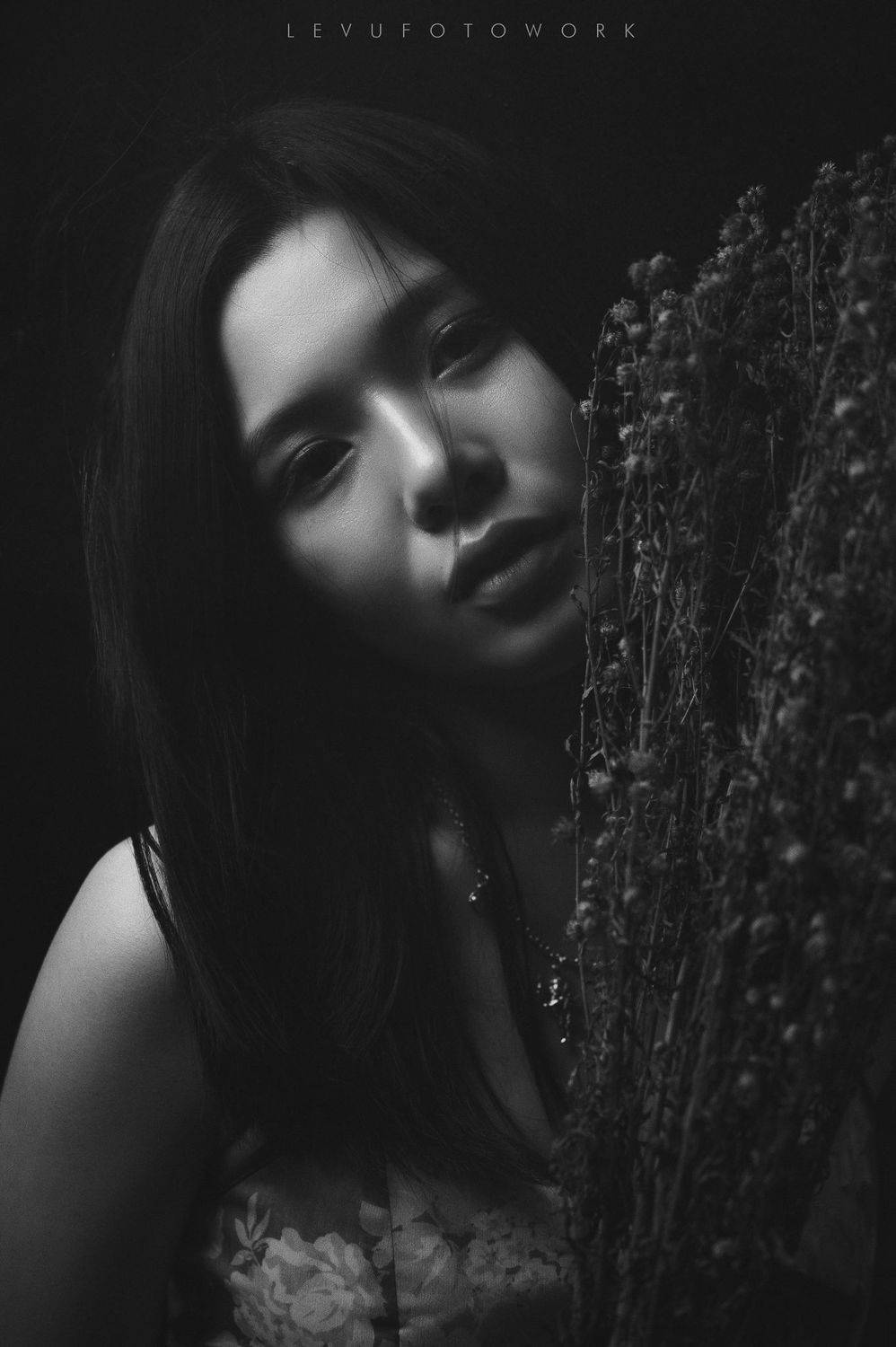 , L&ecirc; Nguyễn Vũ