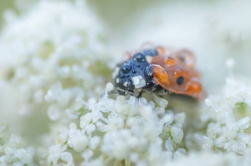 В облаках...